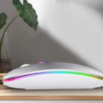 Souris blanche rgb3