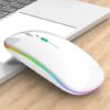 Souris blanche rgb