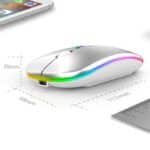 Souris blanche rgb7